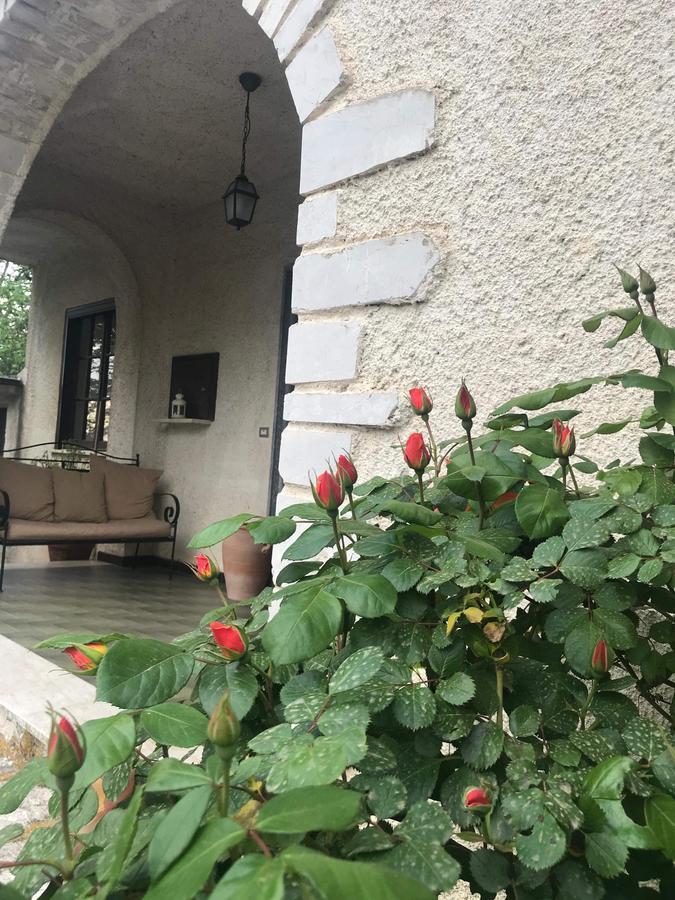 Villa Palmina Castelnuovo Parano Exterior foto